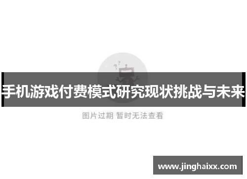 手机游戏付费模式研究现状挑战与未来